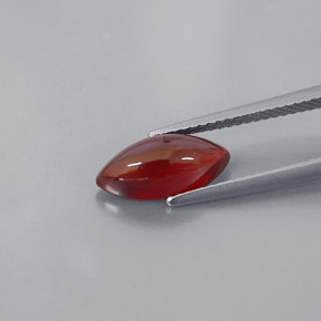 Granada piropo vermelho natural 3,08ct, transparente, transparente/translúcido