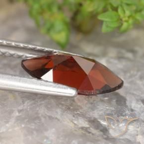 Granada Piropo Vermelho escuro Natural 1.36ct, Marquesa, VVS-VS
