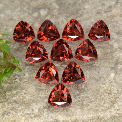 Pedras preciosas de Granada Piropo Vermelho brilhante natural de 3.00 ct, Trilhão, VS
