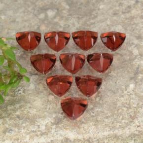 Pedras preciosas de Granada Piropo Vermelho brilhante natural de 3.00 ct, Trilhão, VS