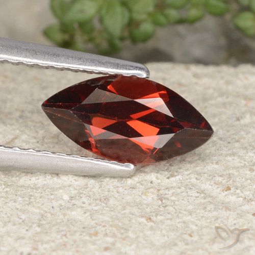 1.25ct Natural Vermelho escuro médio Granada Piropo, Marquesa, VVS-VS