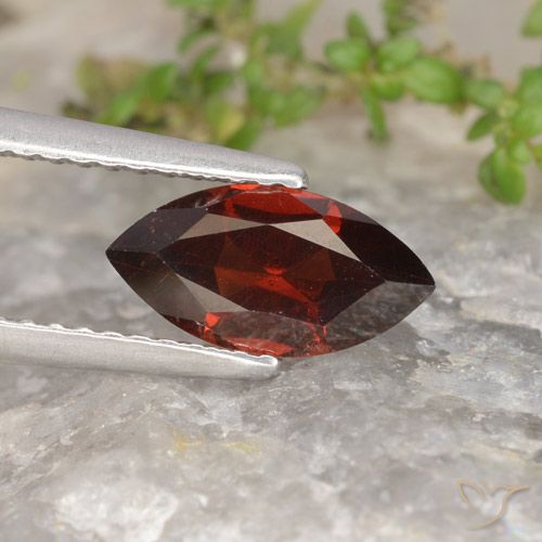 1.31ct Natural Vermelho escuro Granada Piropo, Marquesa, VVS-VS
