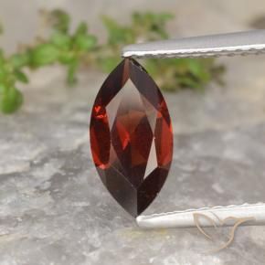 Granada Piropo Vermelho escuro Natural 1.31ct, Marquesa, VVS-VS