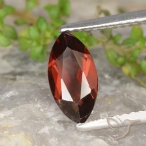 Granada Piropo Vermelho escuro Natural 1.36ct, Marquesa, VS
