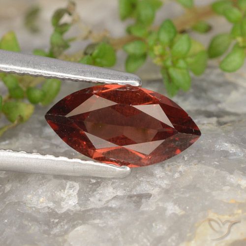 1.14ct Natural Vermelho escuro Granada Piropo, Marquesa, VS
