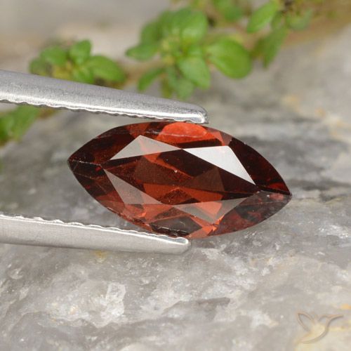 1.21ct Natural Vermelho escuro Granada Piropo, Marquesa, VVS-VS