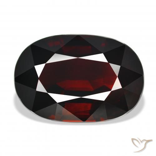 21.89ct Natural vermelho escuro Granada Piropo, oval, IF