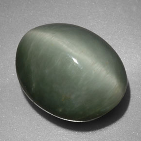 Quartzo olho de gato verde natural 6,24ct, corte oval, opaco