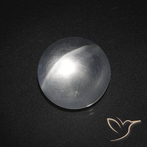 Quartzo Olho de Gato Branco claro Natural 7.59ct, Redondo, Transparente