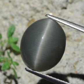 Quartz cat's eye cinza natural 7,96ct, corte oval, opaco