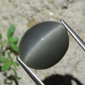Quartz cat's eye cinza natural 7,96ct, corte oval, opaco