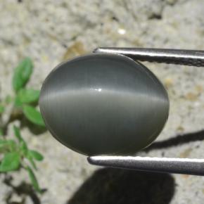 Quartz cat's eye cinza natural 7,96ct, corte oval, opaco