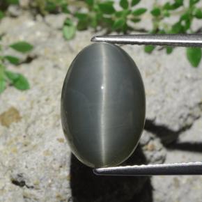 Quartzo Olho de Gato Verde Natural 9.07ct, Corte Oval, Opaco