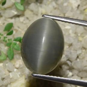 Quartzo Olho de Gato Verde acinzentado Natural 8.08ct, Corte Oval, Translúcido