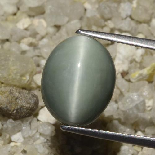 6.06ct Natural cinza médio Quartzo Olho de Gato, oval, Opaco