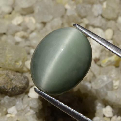 Quartzo Olho de Gato cinza médio Natural 6.06ct, oval, Opaco