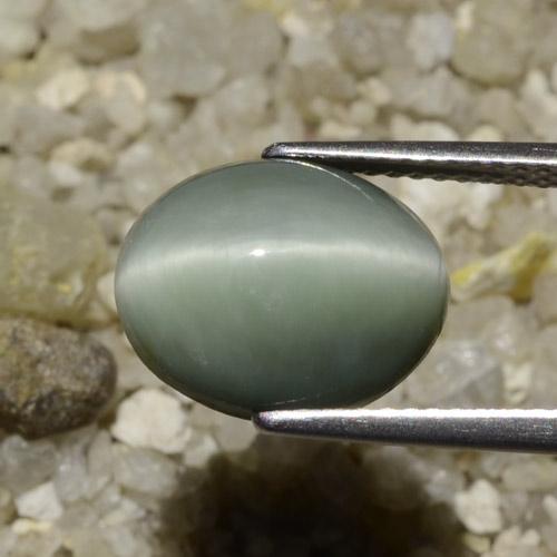 Quartzo Olho de Gato cinza médio Natural 6.06ct, oval, Opaco