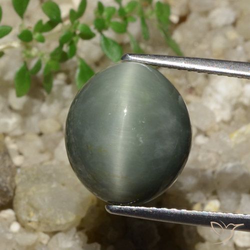 7.74ct Natural cinza médio Quartzo Olho de Gato, oval, Opaco