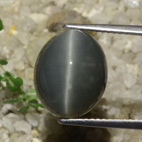 Quartzo Olho de Gato Cinza escuro Natural 7.89ct, Corte Oval, Opaco