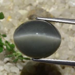 Quartzo Olho de Gato Cinza escuro Natural 7.89ct, Corte Oval, Opaco