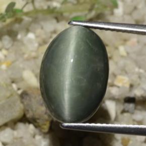 Quartzo Olho de Gato cinza médio Natural 8.78ct, Corte Oval, Opaco