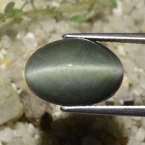 Quartzo Olho de Gato cinza médio Natural 8.78ct, Corte Oval, Opaco