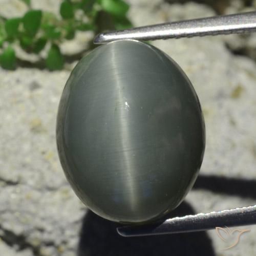 7.28ct Natural Cinzento Esverdeado Pálido Quartzo Olho de Gato, oval, Opaco