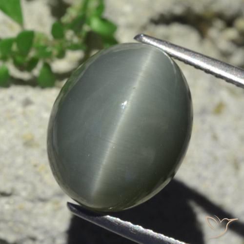 Quartzo Olho de Gato Cinzento Esverdeado Pálido Natural 7.28ct, oval, Opaco