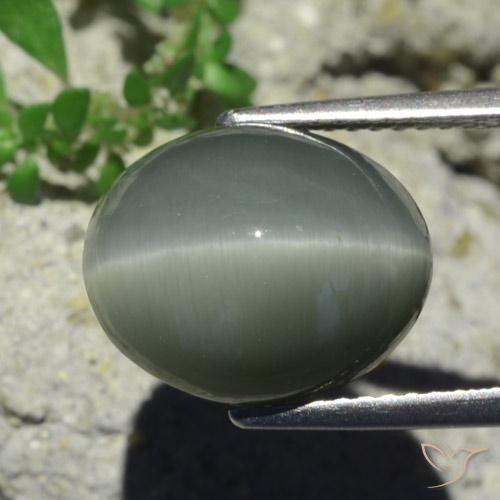 Quartzo Olho de Gato Cinzento Esverdeado Pálido Natural 7.28ct, oval, Opaco