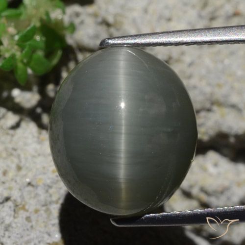 8.02ct Natural Cinzento Esverdeado Pálido Quartzo Olho de Gato, oval, Opaco