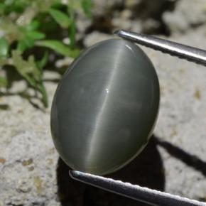 Quartzo Olho de Gato Cinzento Esverdeado Pálido Natural 6.12ct, Corte Oval, Opaco