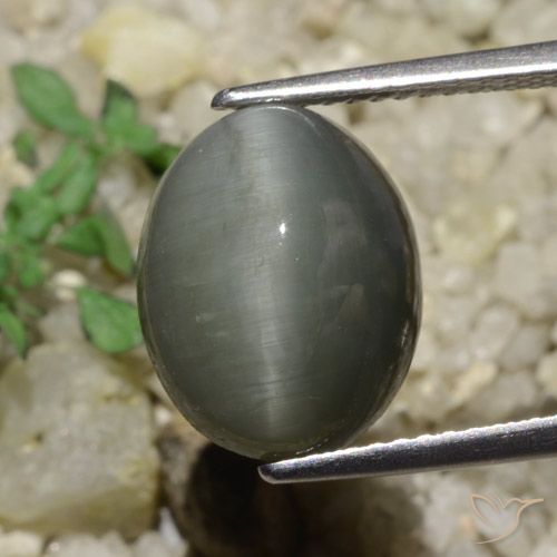 6.65ct Natural cinza médio Quartzo Olho de Gato, oval, Opaco