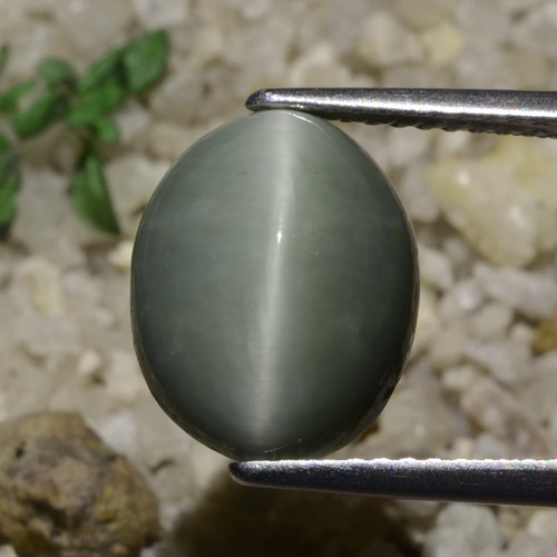 Quartzo Olho de Gato cinza esverdeado Natural 5.82ct, Corte Oval, Translúcido