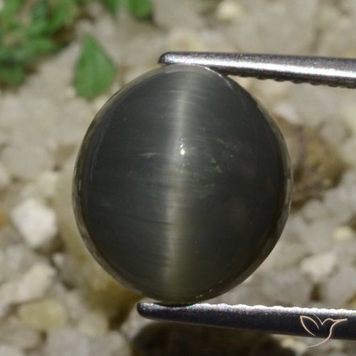 6.05ct Natural Aço cinza Quartzo Olho de Gato, oval, Opaco