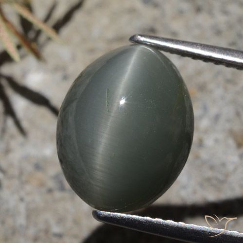 7.32ct Natural Cinza escuro Quartzo Olho de Gato, oval, Opaco