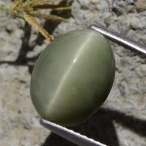 Quartzo Olho de Gato Verde médio Natural 5.40ct, Corte Oval, Opaco