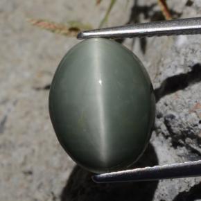 Quartzo Olho de Gato Verde Natural 5.29ct, Corte Oval, Opaco