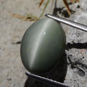 Quartzo Olho de Gato Verde Natural 5.29ct, Corte Oval, Opaco