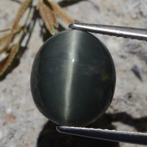 Quartzo Olho de Gato verde escuro Natural 6.15ct, Corte Oval, Opaco