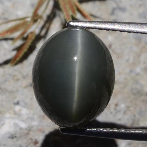 Quartzo Olho de Gato Cinza escuro Natural 7.26ct, Corte Oval, Opaco