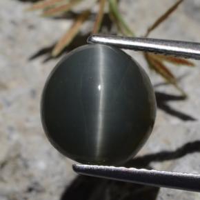 Quartzo Olho de Gato Verde Natural 5.62ct, Corte Oval, Opaco