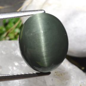 Quartzo Olho de Gato Verde Natural 7.61ct, Corte Oval, Opaco