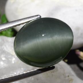 Quartzo Olho de Gato cinza médio Natural 9.50ct, Corte Oval, Opaco