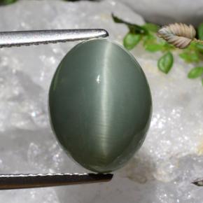 Quartzo Olho de Gato Verde médio-escuro Natural 7.17ct, Corte Oval, Opaco