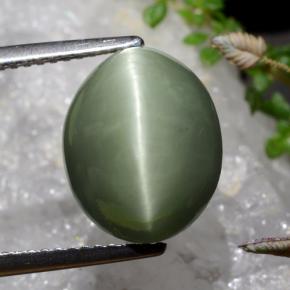 Quartzo Olho de Gato Verde musgo acinzentado Natural 6.89ct, Corte Oval, Opaco