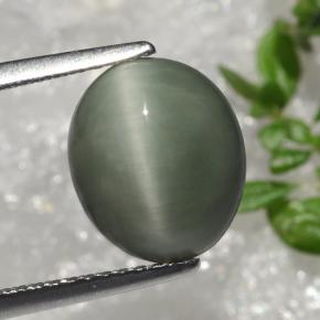 Quartzo Olho de Gato Verde Natural 3.66ct, Corte Oval, Opaco