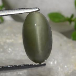 Quartzo Olho de Gato Verde Natural 2.64ct, Corte Oval, Opaco