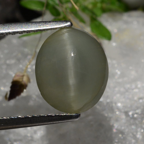 Quartz cat's eye cinza natural 2,99ct, corte oval, translúcido