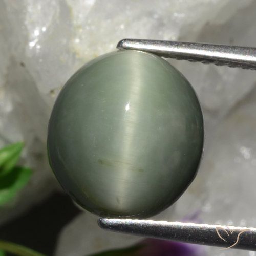5.48ct Natural cinza médio Quartzo Olho de Gato, oval, Opaco