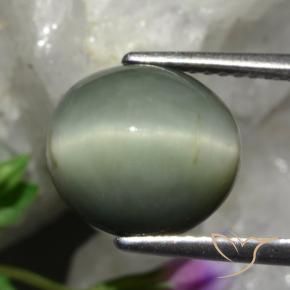 Quartzo Olho de Gato cinza médio Natural 5.48ct, oval, Opaco